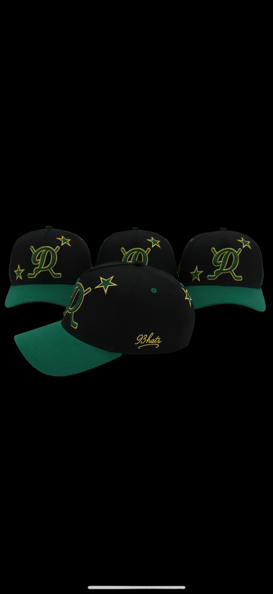 Dallas Stars black & green
